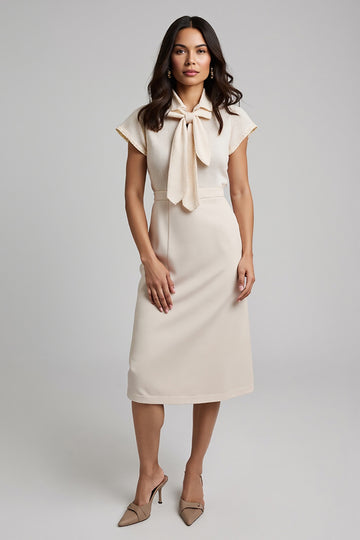 Apricot Sheath Lapel Neck Work Dress
